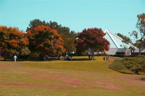 Concordia University Irvine in the fall | Campus | Pinterest