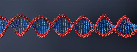 Unraveling The Genetic Tapestry: Understanding Lynch Syndrome And ...