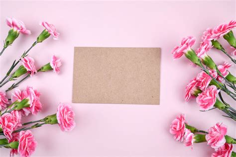 Pink Carnation Background Card Photography | PSD Free Download - Pikbest