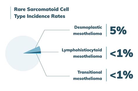 Sarcomatoid Mesothelioma | Prognosis, Treatment & Diagnosis