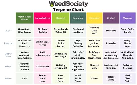 Beginners Guide: Good Weed Vs. Bad Weed | WeedSociety