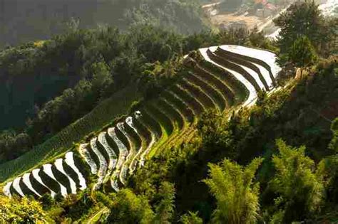 Awesome Terrace farming Around the World | terracing