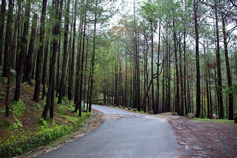 Delhi to Lansdowne Road Trip: An Adventure Lover’s Delight - Guide ...