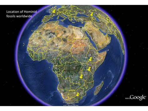 PPT - Location of Hominid fossils worldwide PowerPoint Presentation ...