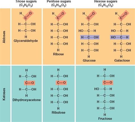 Groups | Macromolecules, Science facts, Organic chemistry