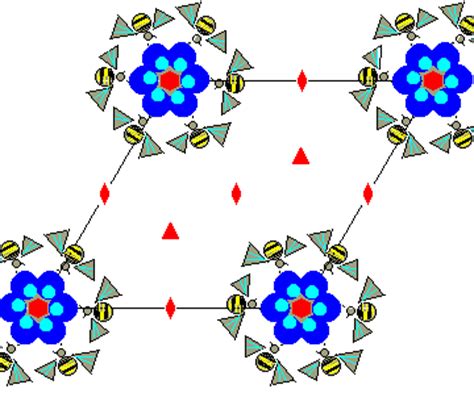 Crystallographic Plane Groups