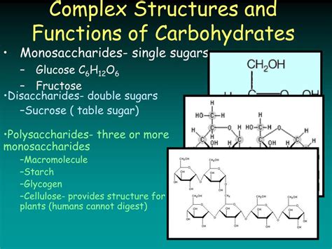 PPT - Complex Structures and Functions of Carbohydrates PowerPoint Presentation - ID:2170356