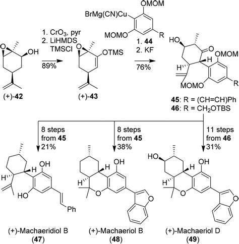 Synthetic pathways to tetrahydrocannabinol (THC): an overview - Organic & Biomolecular Chemistry ...