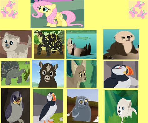 Fluttershy's Wild Kratts Animal Friends 5 by samanthasonic97 on DeviantArt