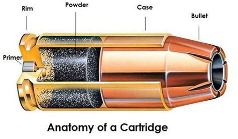 How To Choose Bullets - Ammo FAQ