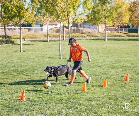 How to Play Soccer with your Dog