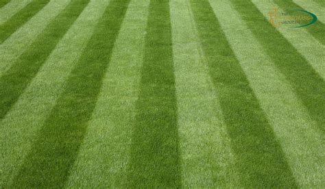 Mowing Bermuda Grass: A Guide to Lush Lawns