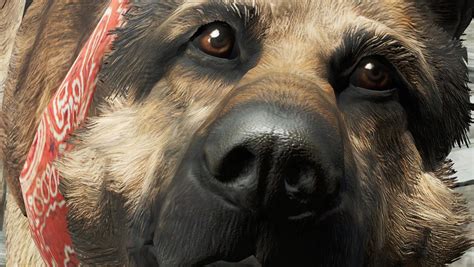 Be The Dog - Playable Dogs at Fallout 4 Nexus - Mods and community