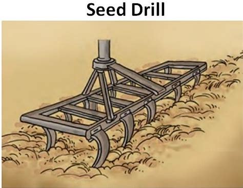 Sowing of Seeds - Selection, Different Methods - Teachoo