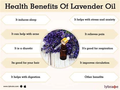 Benefits of Lavender Oil And Its Side Effects | Lybrate