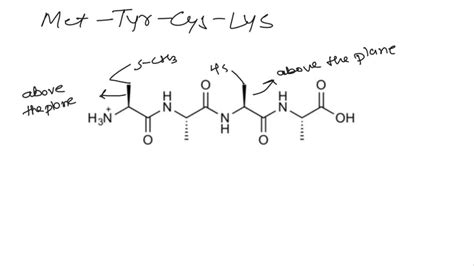 SOLVED: Draw the tetrapeptide structure for the following amino acid sequence. The tetrapeptide ...