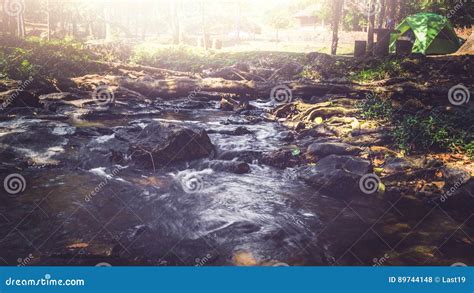 Waterfall Stream. Water Streams of Natural Forests Stock Photo - Image ...