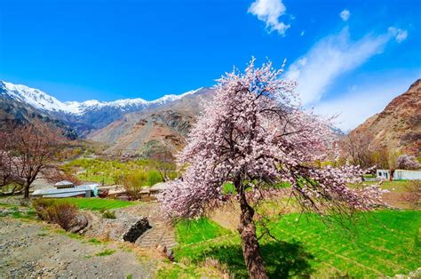 Shigar Valley | Overview of Shigar Valley Skardu