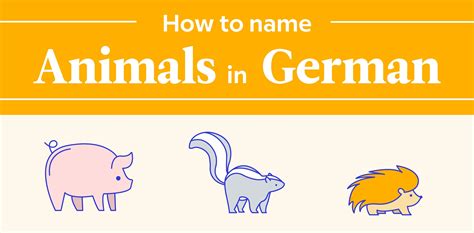 The German Animal Names Flowchart | Funny animal names, Animals, German