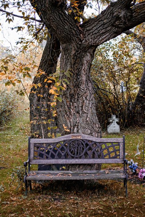 Cemetery Bench by midnightstouchSTOCK on DeviantArt