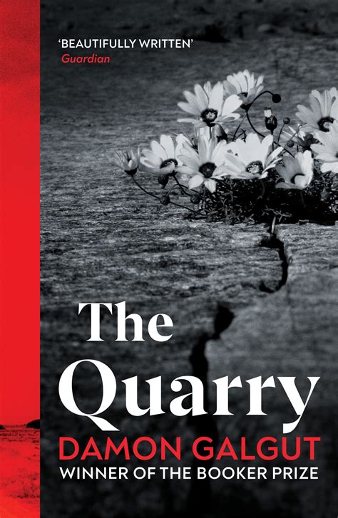 The Quarry by Damon Galgut - Penguin Books New Zealand