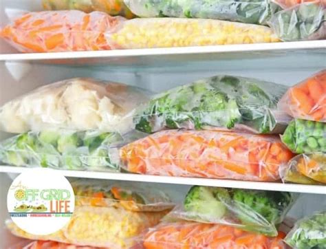 How to Freeze Fresh Vegetables (1)