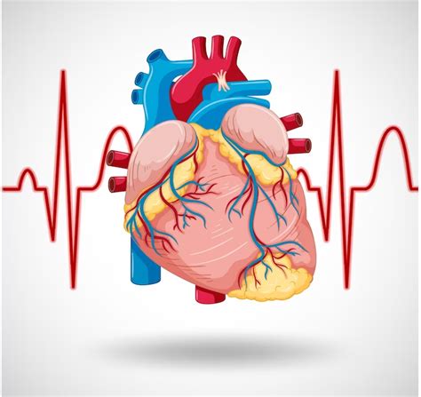 Tachycardia - Types, Cause, Symptoms, Treatment - Mobile Physio