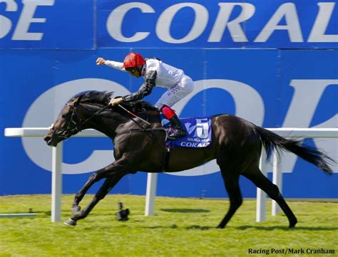 Golden Horn To Join Darley Stallion Roster In 2016 - Paulick Report ...