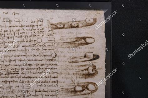 Exhibition Leicester Codex Called Hammer Codex Editorial Stock Photo - Stock Image | Shutterstock