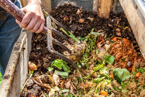 Waste management : How Does The Composting Process Work?