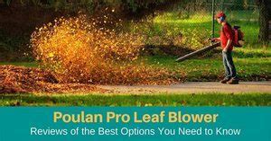 Top 5 Leaf Blower Reviews Must Buy For Your Garden in 2022 of Poulan Pro #1. Gardening Blogs ...