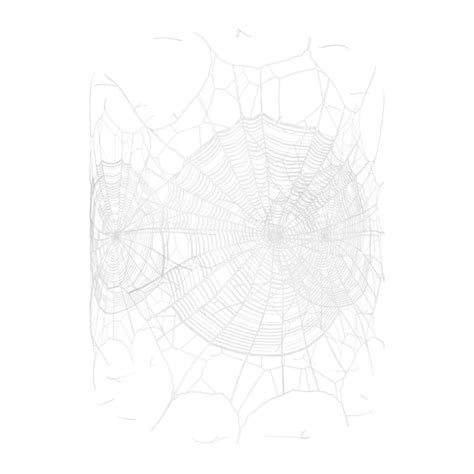 Spider Web / Cobweb Texture | Free PBR | TextureCan