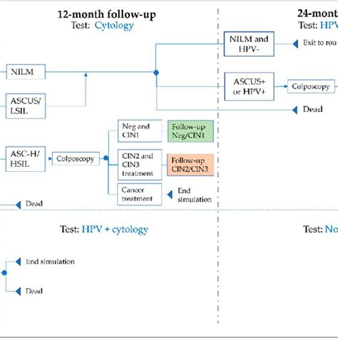 Model schematics of follow-up after colposcopy for (A) CIN1 or negative ...