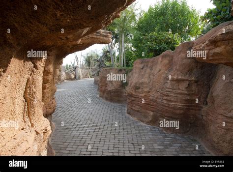 Bioparc Valencia spain Stock Photo - Alamy