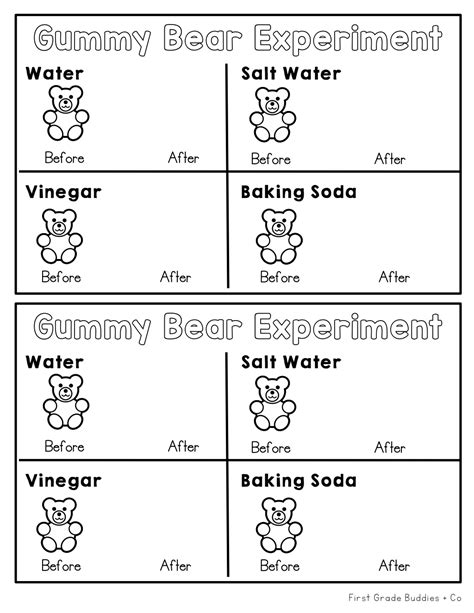 The Gummy Bear Experiment: A Fun and Educational Science Project