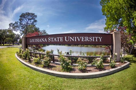 10 Easiest Classes at Louisiana State University - OneClass Blog