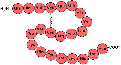 Estructura Cuaternaria de Proteína; Estructura de Proteína Cuaternaria