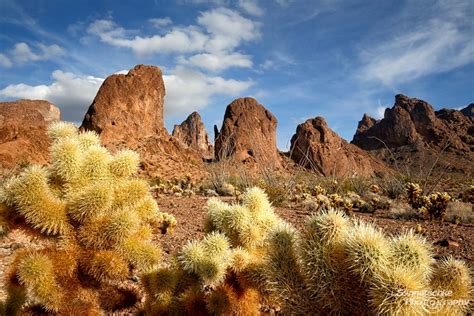 Kofa Mountains | Misc | Arizona | USA | Synnatschke Photography