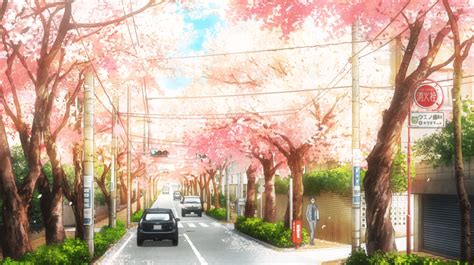 Your Lie in April Cherry Blossoms Wallpapers - Top Free Your Lie in April Cherry Blossoms ...