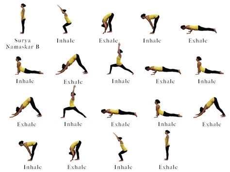 Sun Salutation B || Surya Namaskar B | Sun salutation b, Surya namaskar ...