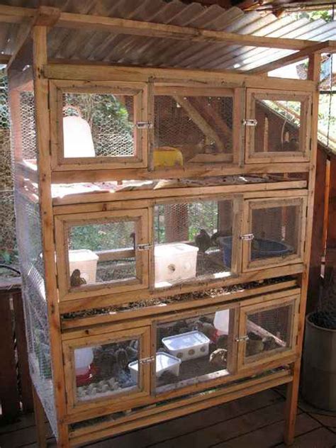 18 DIY Quail Hutch Ideas And Designs