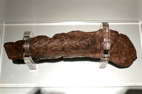 Would you believe? Ninth-century Viking poop - JobbieCrew.com