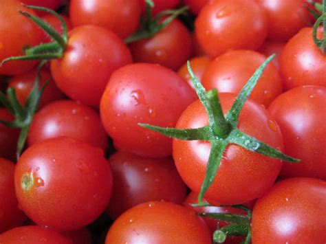 Tomato Seeds Selection Choose From List of Varieties or - Etsy