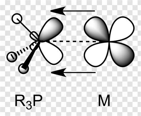 Atomic Orbital Molecular Diagram Pi Bond Antibonding - Backbonding Transparent PNG