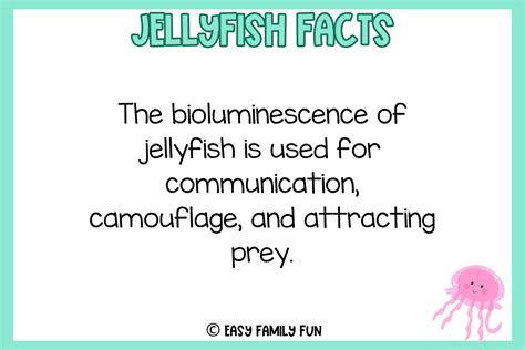 Dive Into These Facts About Jellyfish [Free Fact Cards] - Easy Family ...