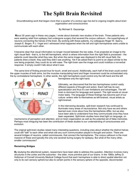 🎉 What is split brain surgery. Post Surgery Care and Recovery. 2019-02-08