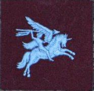 British 1st airborne division