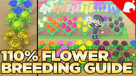 The FULL Flower Breeding Guide for Animal Crossing New Horizons ...