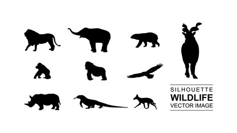 silhouette wildlife set vector stock 15392984 Vector Art at Vecteezy