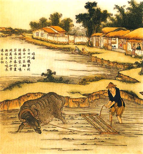 Agriculture in ancient China – Part I: from the beginning to the first